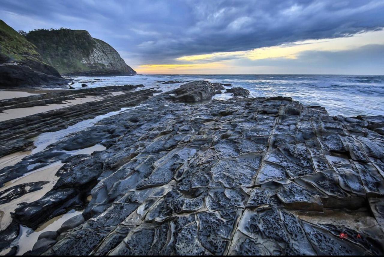 Raptors View คอฟฟีเบย์ ภายนอก รูปภาพ